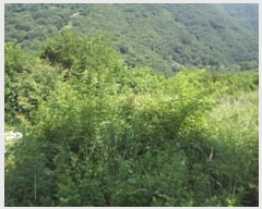  2024Ÿ��11493 �泲 �о�� ����� ��õ�� 1260      ����(��)���