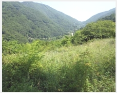  2024Ÿ��11493 �泲 �о�� ����� ��õ�� 1260      ����(��)���