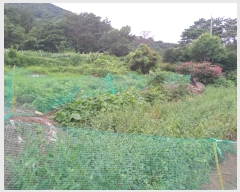  2024Ÿ11677 泲 â籺 輺 縮 100-1      (Ӿ)