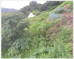  2024Ÿ11677 泲 â籺 輺 縮 100-1      (Ӿ)