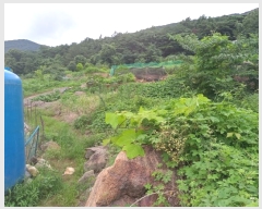  2024Ÿ11677 泲 â籺 輺 縮 100-1      (Ӿ)