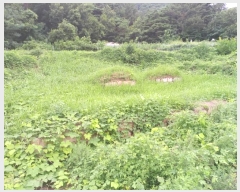  2024Ÿ11677 泲 â籺 輺 縮 100-1      (Ӿ)