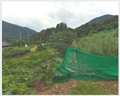  2024Ÿ11677 泲 â籺 輺 縮 100-1      (Ӿ)