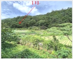  2024Ÿ11769 泲 â籺   82      (Ӿ)