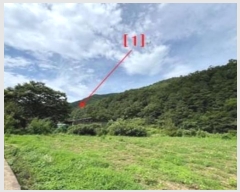  2024Ÿ11769 泲 â籺   82      (Ӿ)