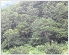  2024Ÿ11769 泲 â籺   82      (Ӿ)