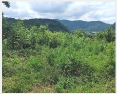  2024Ÿ��11820  �������