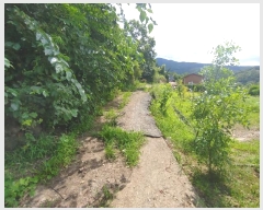  2024Ÿ��11820  �������