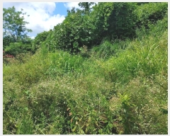  2024Ÿ��11820  �������