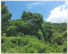  2024Ÿ��11820  �������