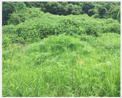  2024Ÿ��11820  �������