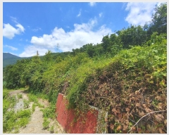  2024Ÿ��11820  �������