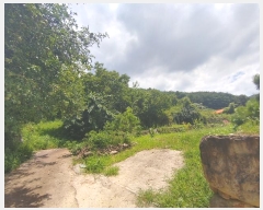  2024Ÿ��11820  �������