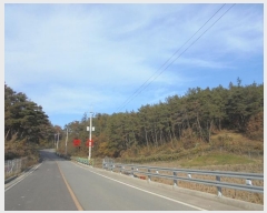  2024Ÿ12069 泲 â籺 ̹ õ 25      (Ӿ)