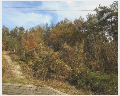  2024Ÿ12069 泲 â籺 ̹ õ 25      (Ӿ)