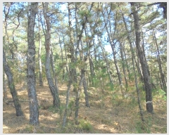  2024Ÿ12069 泲 â籺 ̹ õ 25      (Ӿ)