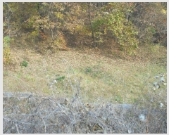  2024Ÿ12069 泲 â籺 ̹ õ 25      (Ӿ)