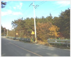  2024Ÿ12069 泲 â籺 ̹ õ 25      (Ӿ)