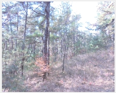  2024Ÿ12069 泲 â籺 ̹ õ 25      (Ӿ)