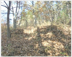  2024Ÿ12069 泲 â籺 ̹ õ 25      (Ӿ)