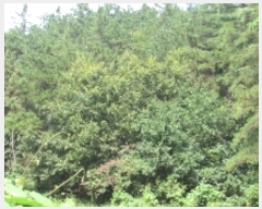  2024Ÿ12069 泲 â籺 ̹ õ 25      (Ӿ)