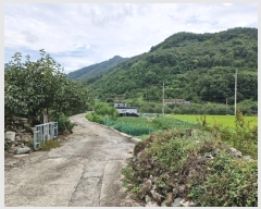  2024Ÿ12144 泲 о û  514      ()