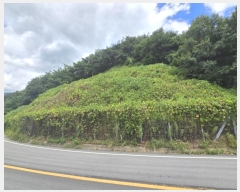  2024Ÿ12175 泲 о 곻 縮 173-18      (Ӿ)