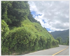  2024Ÿ12175 泲 о 곻 縮 173-18      (Ӿ)