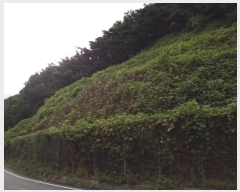  2024Ÿ12175 泲 о 곻 縮 173-18      (Ӿ)