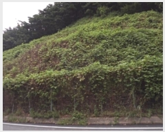  2024Ÿ12175 泲 о 곻 縮 173-18      (Ӿ)