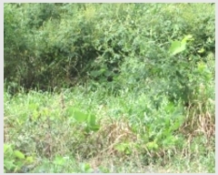  2024Ÿ��12304  �����