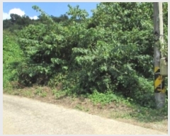  2024Ÿ��12304  �����