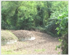  2024Ÿ��12304  �����