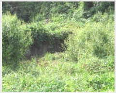  2024Ÿ��12304  �����