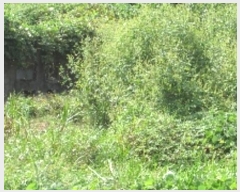  2024Ÿ��12304  �����