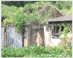  2024Ÿ��12304  �����