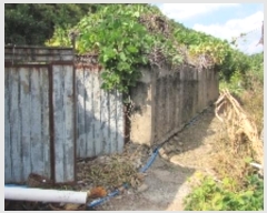  2024Ÿ��12304  �����