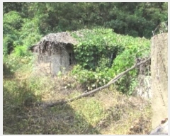  2024Ÿ��12304  �����