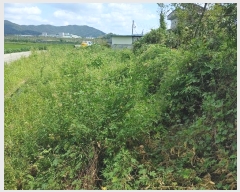  2024Ÿ12427 泲 о ϳ 긮 567-4      (1)