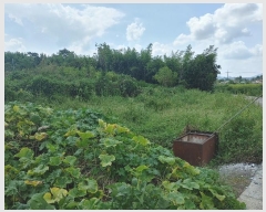  2024Ÿ12427 泲 о ϳ 긮 567-4      (1)