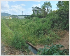  2024Ÿ12427 泲 о ϳ 긮 567-4      (1)