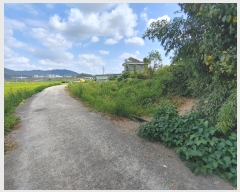  2024Ÿ12427 泲 о ϳ 긮 567-4      (1)