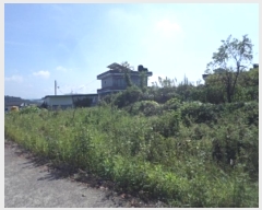  2024Ÿ12427 泲 о ϳ 긮 567-4      (1)