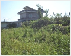  2024Ÿ12427 泲 о ϳ 긮 567-4      (1)