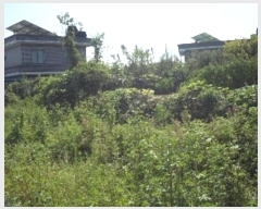  2024Ÿ12427 泲 о ϳ 긮 567-4      (1)