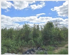  2024Ÿ12458 泲 о 󳲸  710-9      (1)