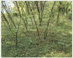  2024Ÿ12601 泲 â籺 輺 踮 510      (1)