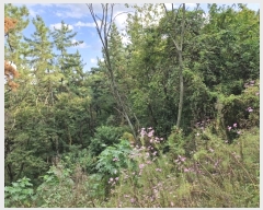  2024Ÿ12601 泲 â籺 輺 踮 510      (1)