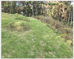  2024Ÿ12601 泲 â籺 輺 踮 510      (1)