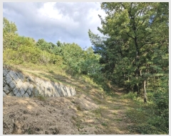  2024Ÿ12601 泲 â籺 輺 踮 510      (1)